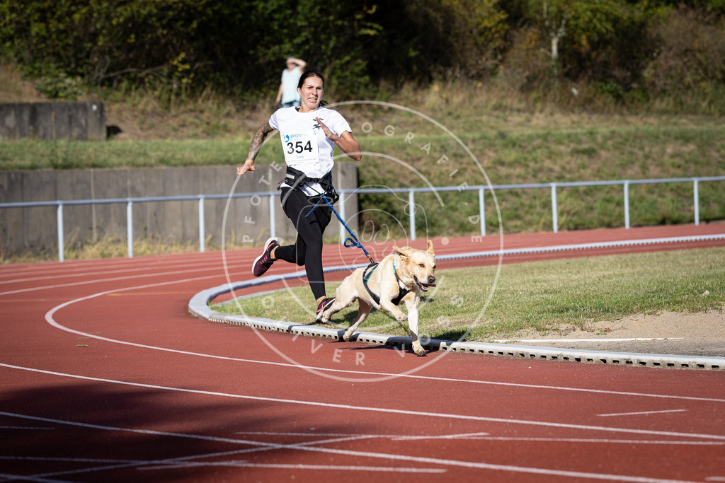 Pfotenfotografie_DV3A9862 | Hundefotografie, Tierfotograf, Pfotenfotografie, Fotoshooting Hund, Hunde Portrait, Hundesport, Hundeportraits, Heideshooting, Hunde, Sportfotograf, Hundefotograf, Turnierhundsport, THS,  - Realisiert mit Pictrs.com