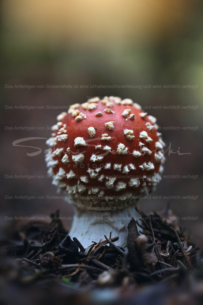 So Much Love, So Little Hope | Exklusive Naturfotografie für stilvolle Wanddekoration ★ Premium Wandbilder Made in Germany ✔️ FineArt Drucke & Downloads ✔️ Brillante Farben, höchste Qualität & weltweiter Versand ✔️ - Realisiert mit Pictrs.com