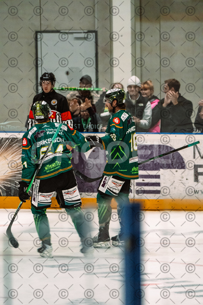 Alligators_vs_Selb_13_09_2026-54 | Die Fotogalerie von Daddel: professionelle Bilder von Sport, Events und Unternehmen aus Franken. Jetzt Galerien durchstöbern und Lieblingsfotos bestellen. - Realisiert mit Pictrs.com