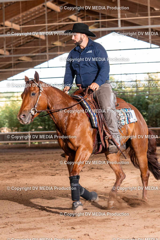 Erbach Tag 2-853 | dv-media-shop - Realisiert mit Pictrs.com