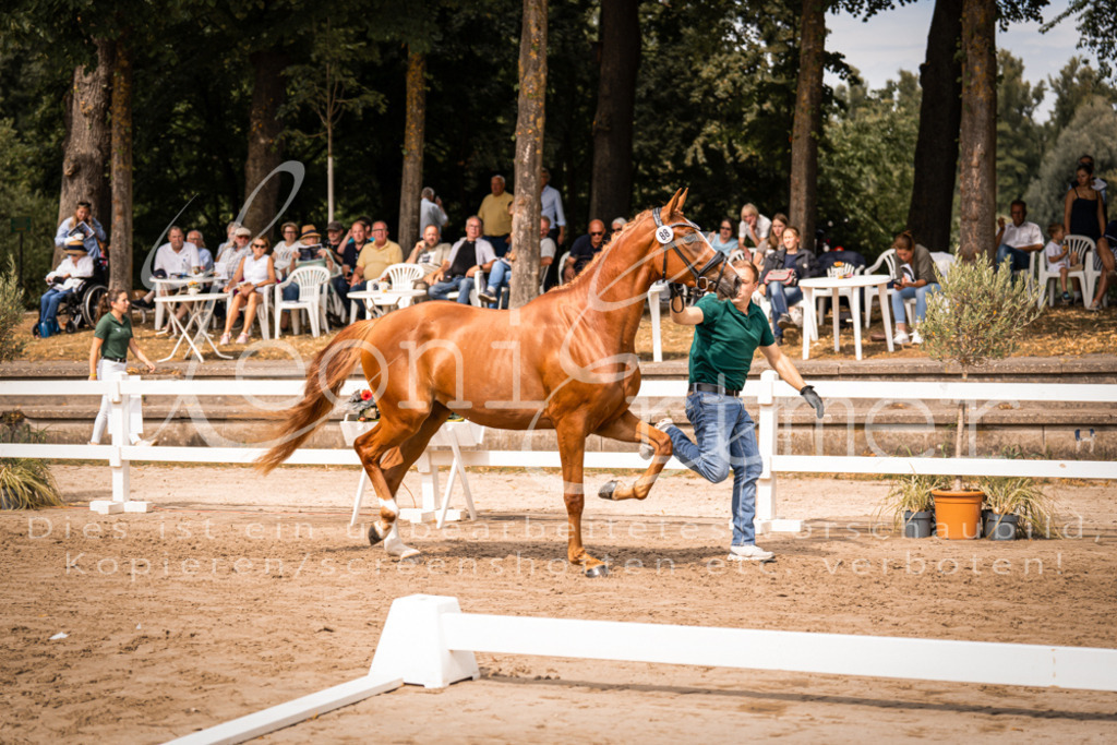 5.Fr00101 | Leoni Ertmer Photography - Realisiert mit Pictrs.com