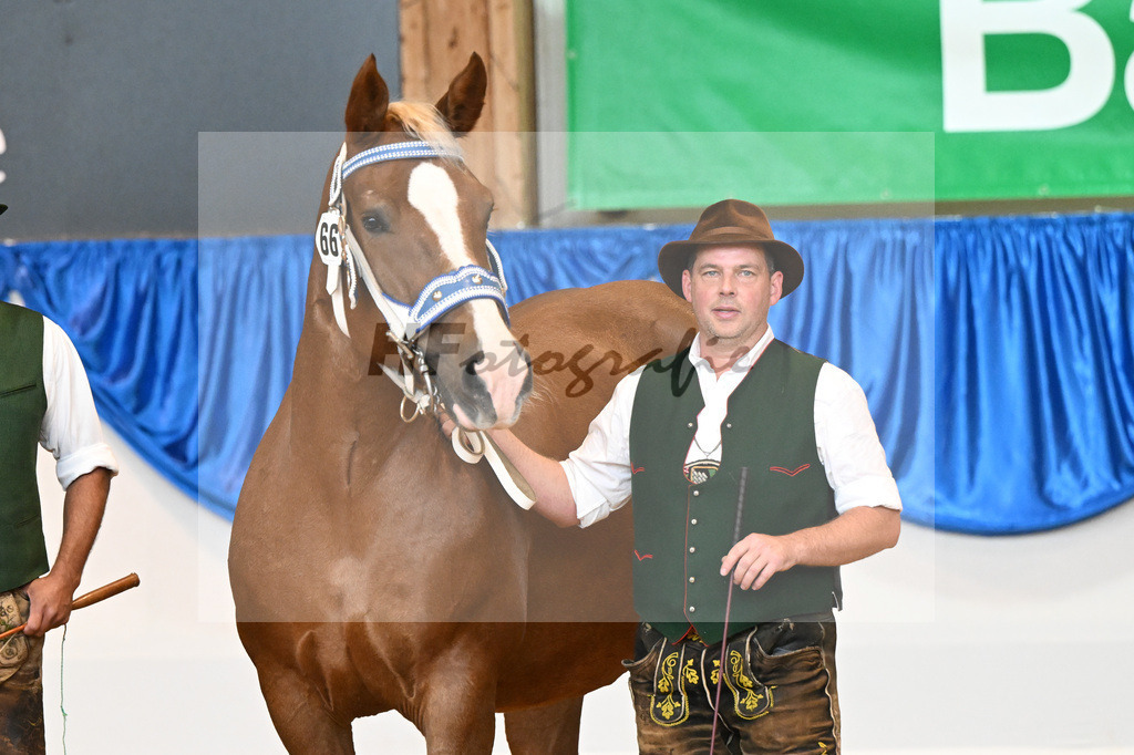 Kat-Nr. 66 Florida G_Grandauer_53220258 | hf-fotografie - Realisiert mit Pictrs.com