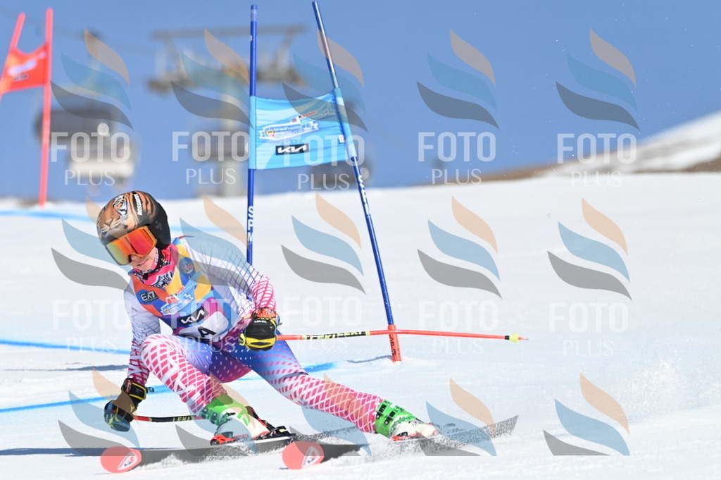 BGV_7552 | holidayphoto