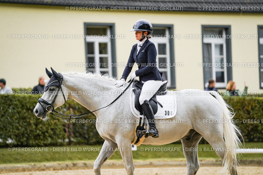 DSC06665 | Pferdegrafie