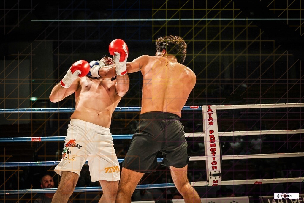 BoB 2026 Elhessaini vs. Abdul-Malak-29 | professionelle Sport- und Eventfotografie von Tomafocus – dynamische Bilder, emotionale Momente und hochwertige Aufnahmen für jeden Anlass. - Realisiert mit Pictrs.com