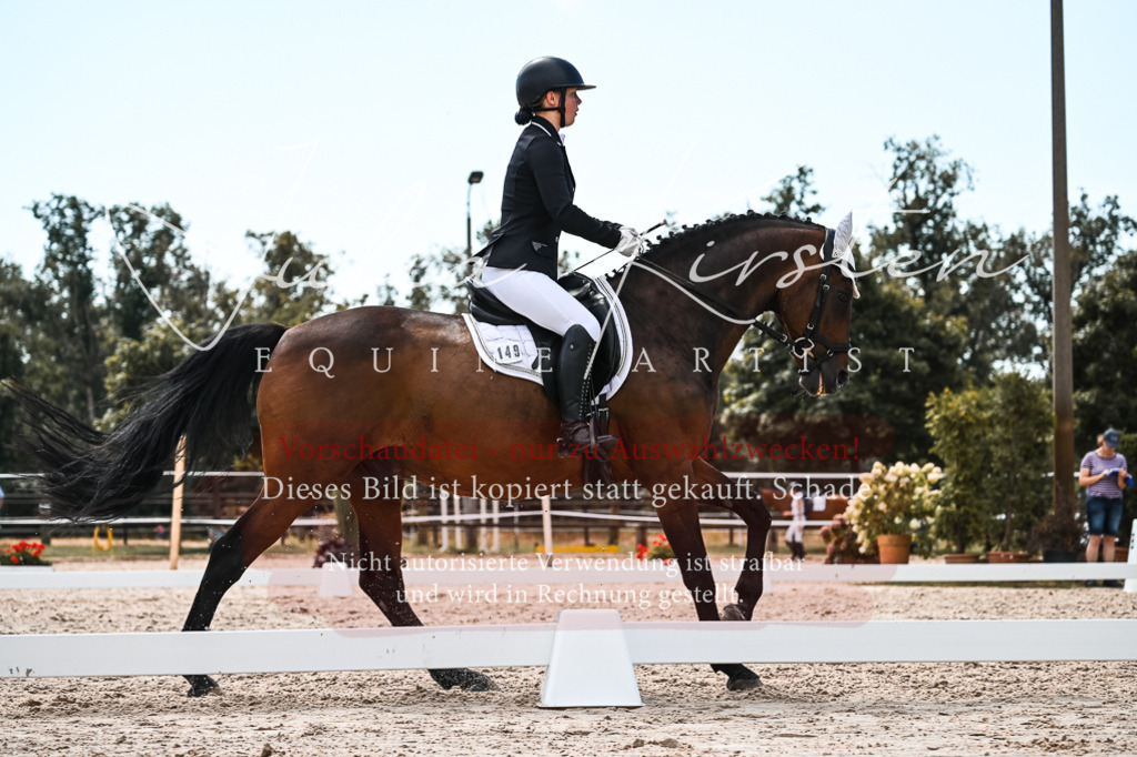 DSC_5670 | Pferde- und Turnierfotografie in Westsachsen. Pferdeportraits, Auftragszeichnungen und intuitive Kunst.