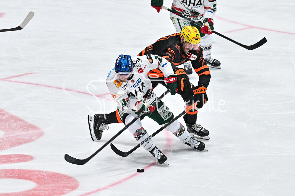 Löwen Frankfurt - Augsburger Panther | FRANKFURT, GERMANY - 19. DECEMBER: im Duell Riley DAMIANI (Augsburger Panther 19) und Daniel PFAFFENGUT (Löwen Frankfurt 77) während dem Match zwischen den Löwen Frankfurt und den Augsburger Panthern am 29. Spieltag der Penny DEL in der Eissporthalle Frankfurt