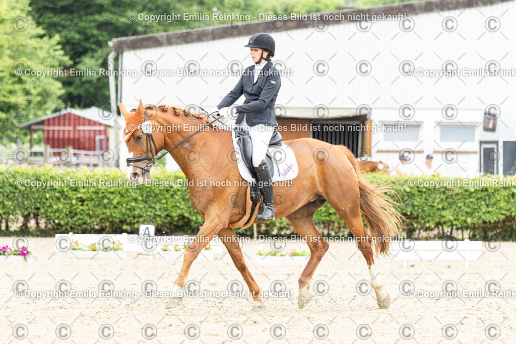 CL5A1577 | Emilia Reinking Fotografie - Realisiert mit Pictrs.com