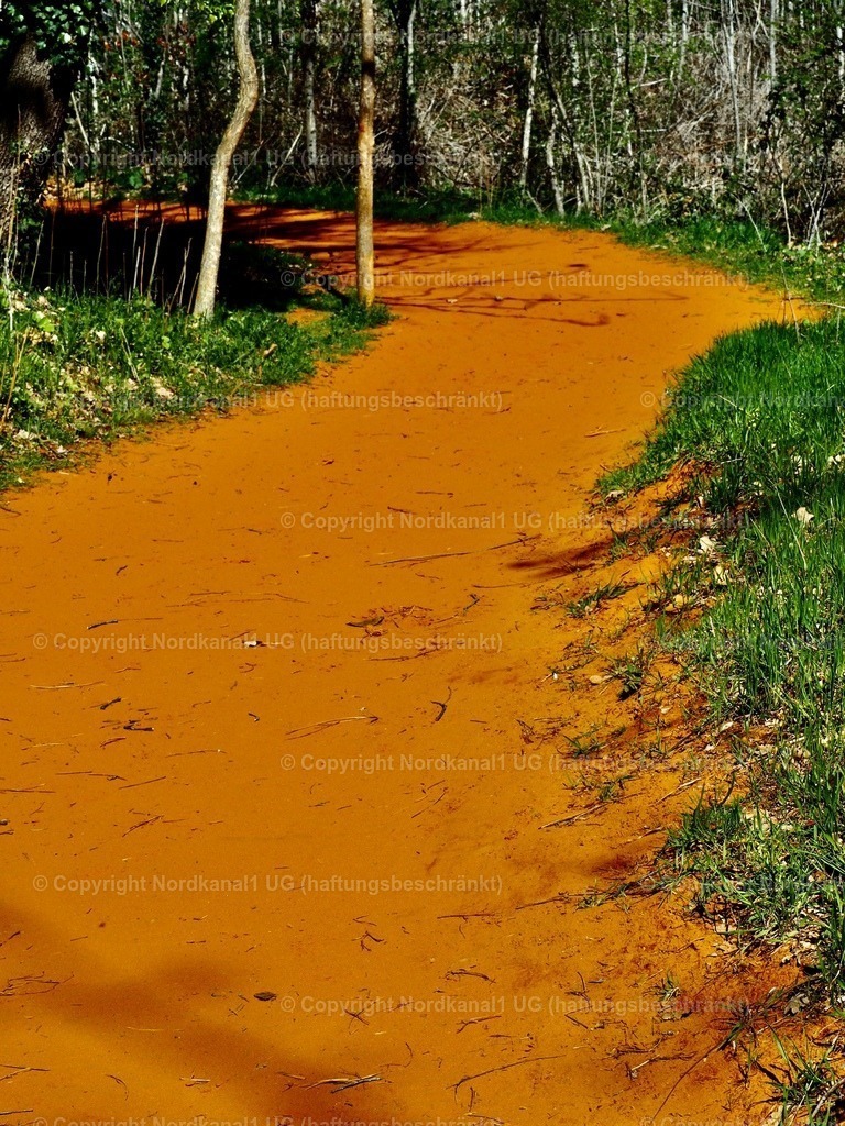 IMG_2958 | OLYMPUS DIGITAL CAMERA          - Realisiert mit Pictrs.com