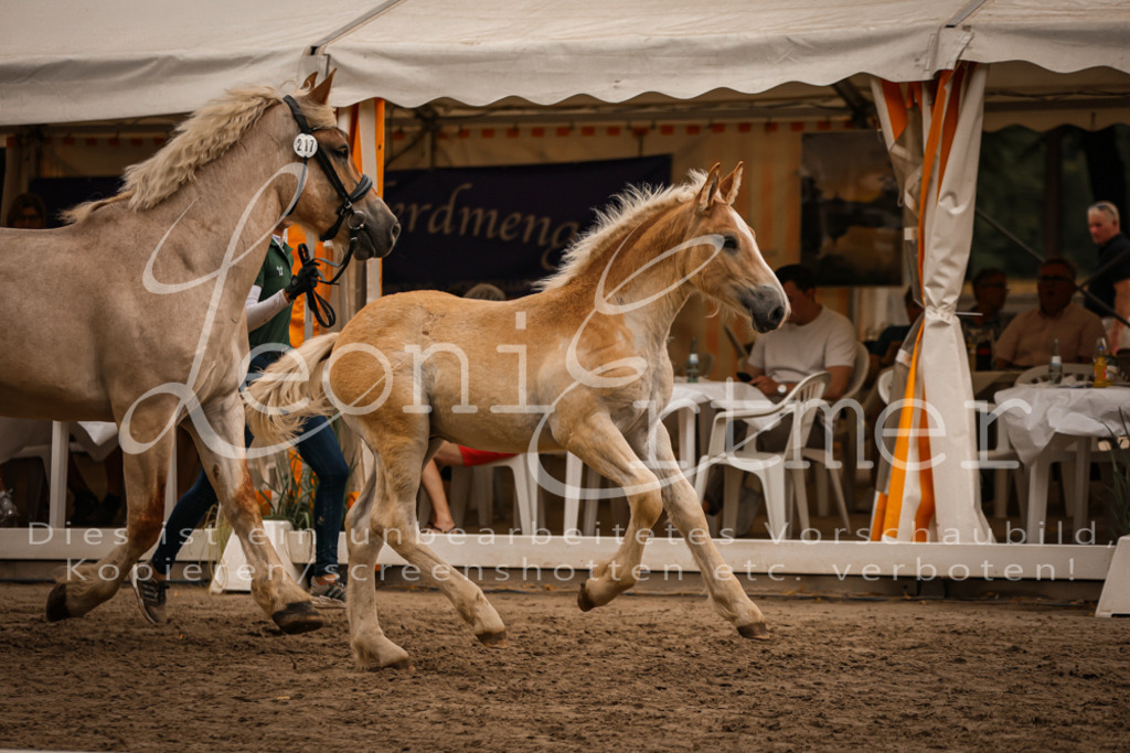 SaHF00066 | Leoni Ertmer Photography - Realisiert mit Pictrs.com