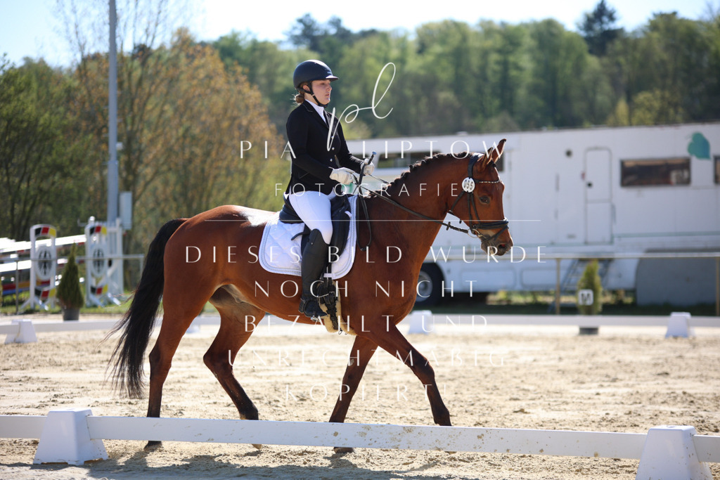 IMGT9611 | pl-fotografie