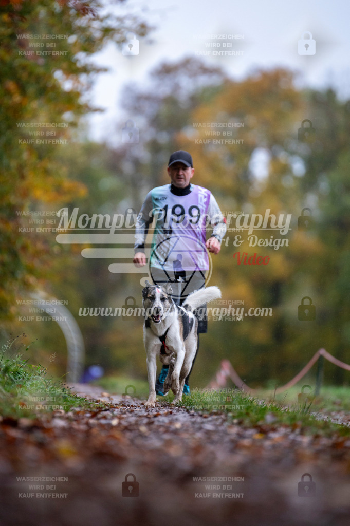 DBT_DAKM_SA_4_11_2023_Canicross-88 | PayLife