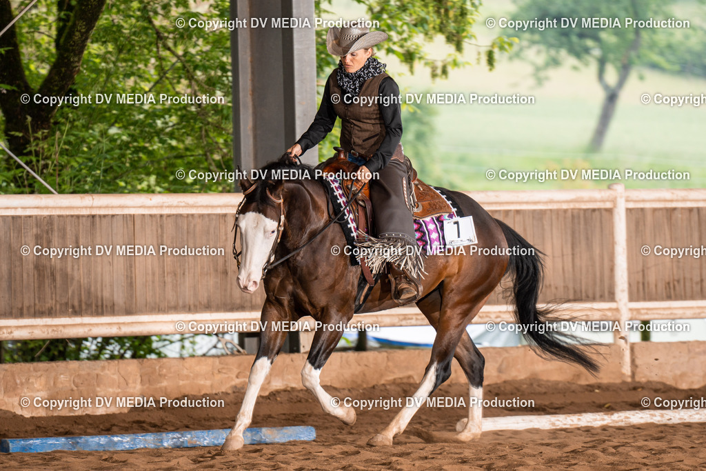 Erbach Tag 2-501 | dv-media-shop - Realisiert mit Pictrs.com