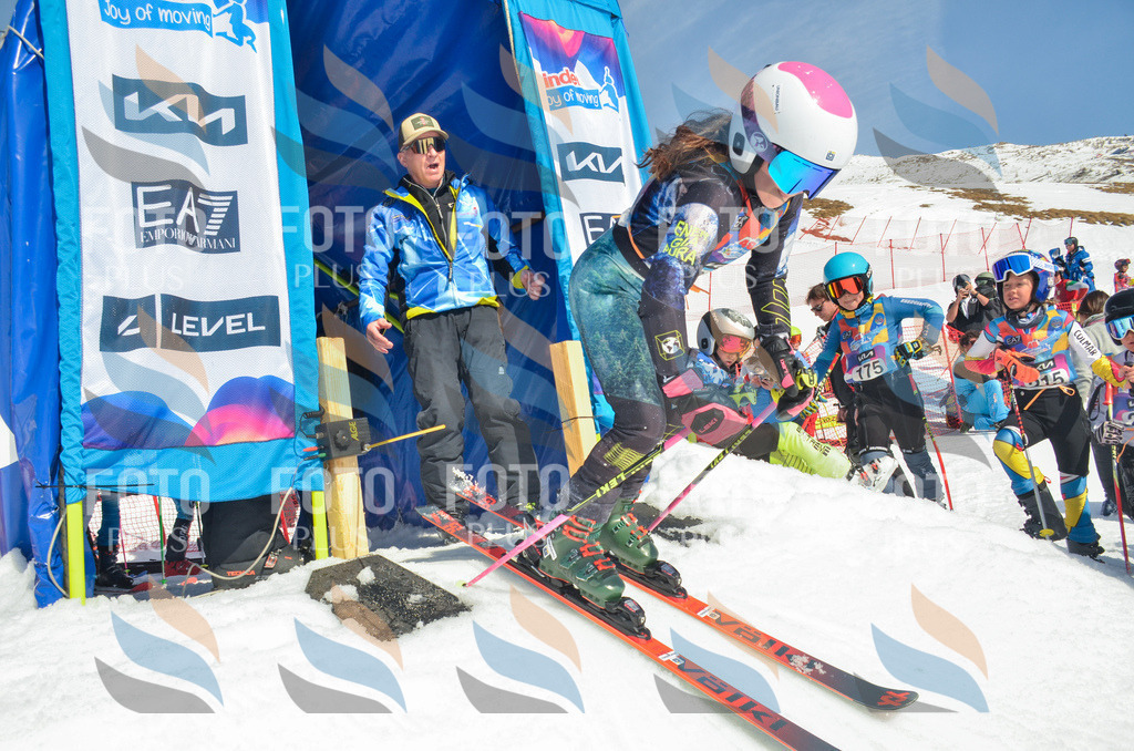 _ELE5724 | holidayphoto