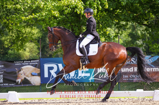 DKP41512 | Turnierfotos kaufen im Webshop von Daniel Kuhl Photography – entdecke professionelle Reitsportfotos aus Turnieren & Events. Hochwertige Turnierbilder online bestellen & sichern. Jetzt Fotos von Reitsportturnieren kaufen!