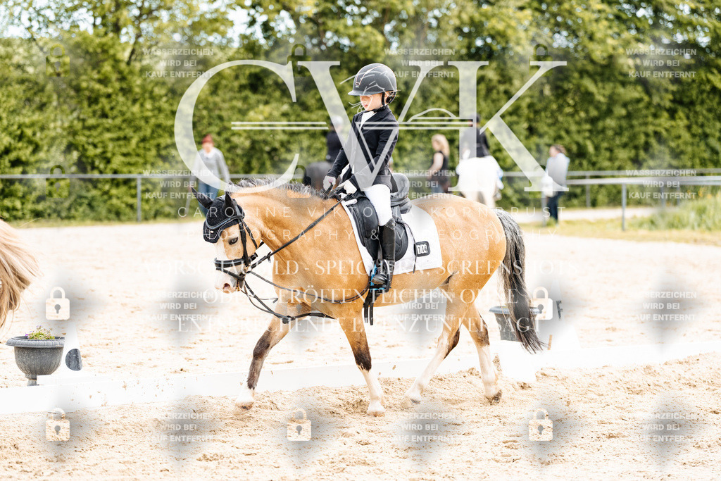 CK904557 | Turnierfotografie Pferdefotografie Trier Rheinland-Pfalz Pferdesport Reitsport Tierfotografie Sportfotografie Pferdevideo Pferdevideografie Equestrianvideography equestrianphotography  - Realisiert mit Pictrs.com