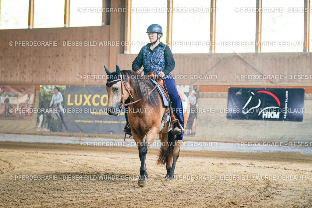 DSC05157 | Pferdegrafie