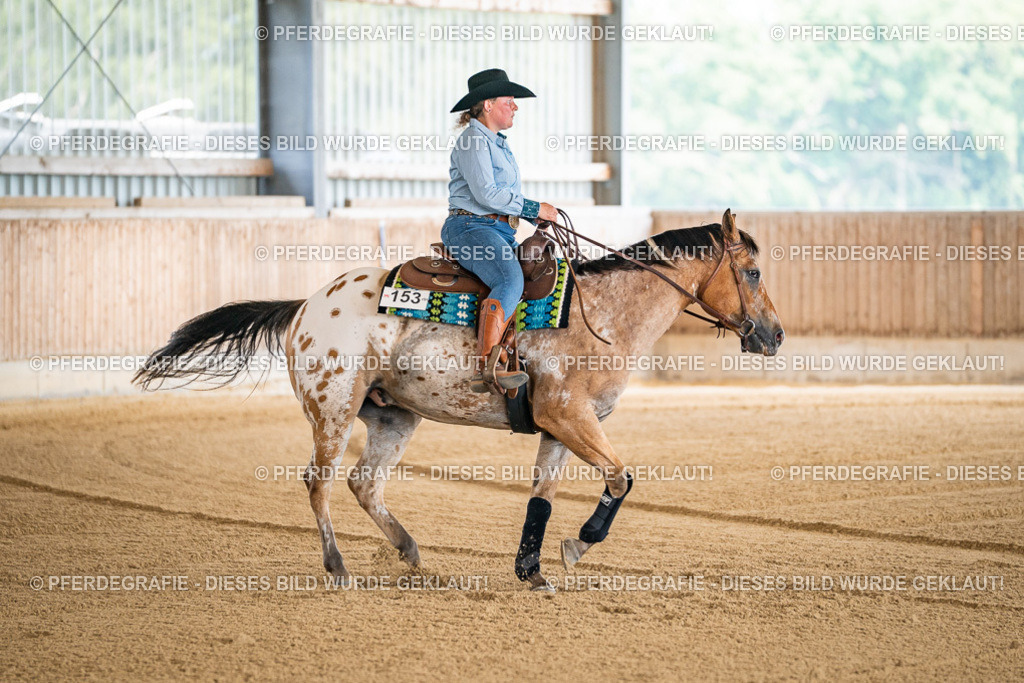 DSC03906 | Pferdegrafie