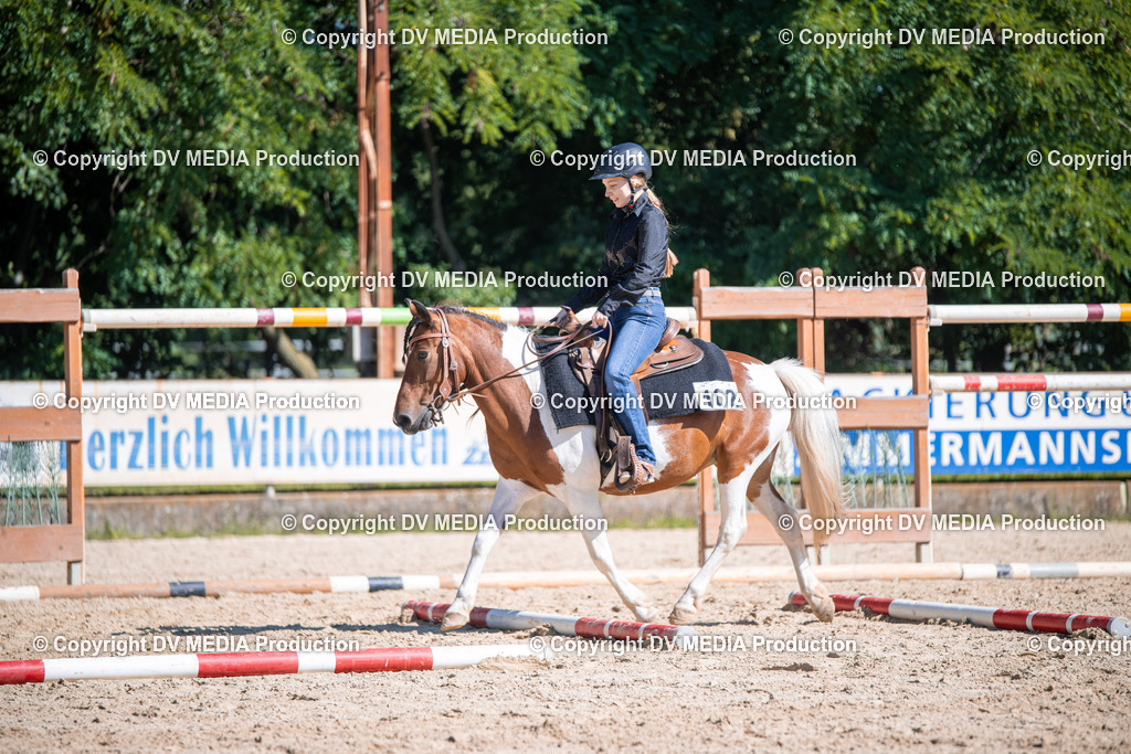 ZS1_0896 | dv-media-shop - Realisiert mit Pictrs.com