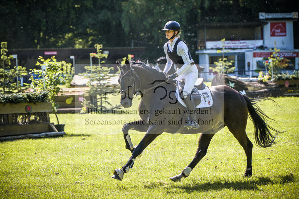 DOS_6011 | Entdecke hochwertige Reitturnierfotos von Foto Oger. Professionell, emotional und authentisch – jetzt Lieblingsmomente im Shop bestellen.Deutschlandweite Turnierfotografie. - Realisiert mit Pictrs.com