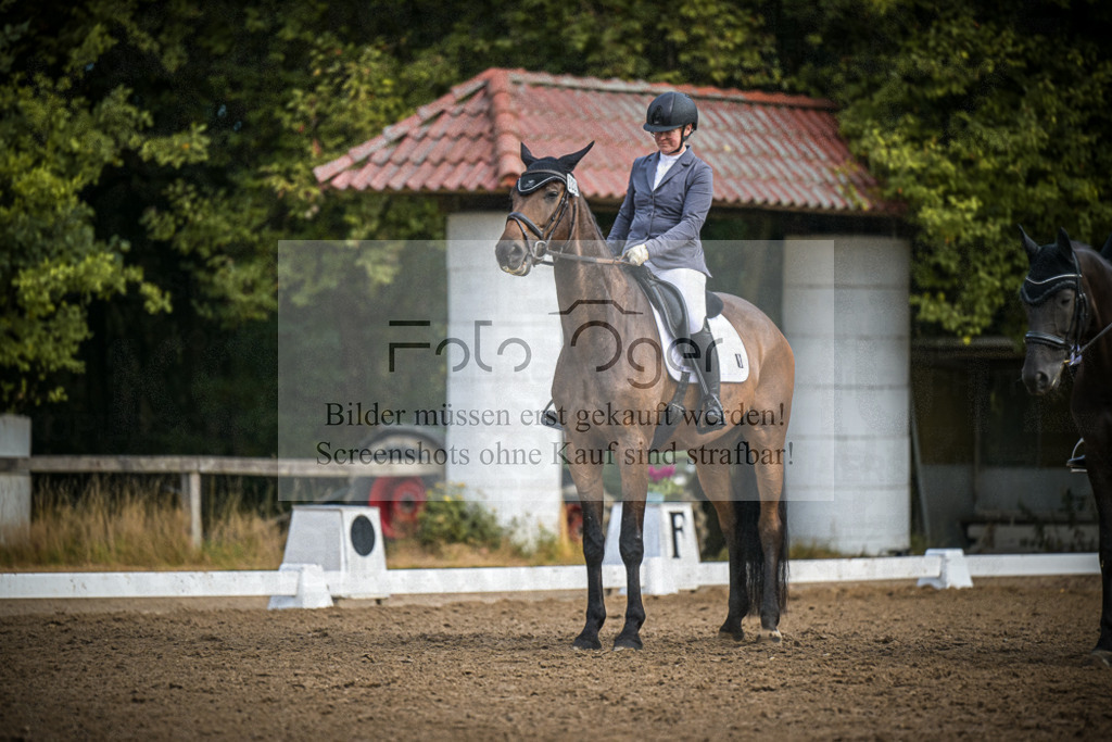 DOS_1252 | Entdecke hochwertige Reitturnierfotos von Foto Oger. Professionell, emotional und authentisch – jetzt Lieblingsmomente im Shop bestellen.Deutschlandweite Turnierfotografie. - Realisiert mit Pictrs.com