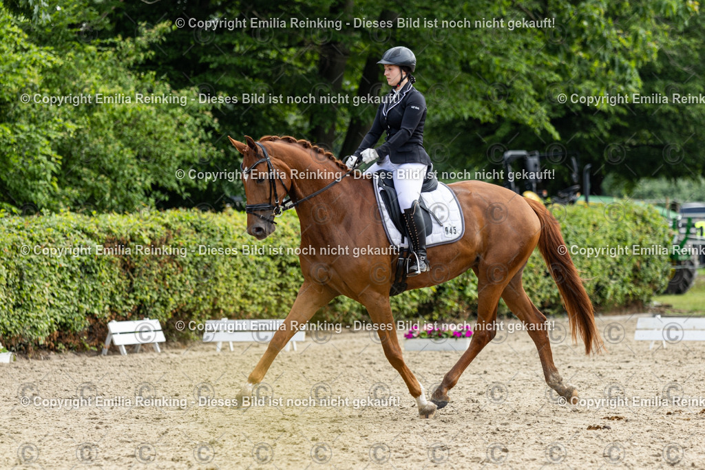 CL5A5037 | Emilia Reinking Fotografie - Realisiert mit Pictrs.com