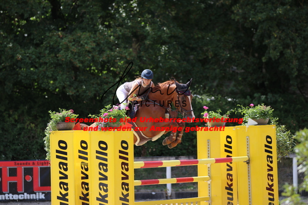 IMG_0422 | lmwpictures - Realisiert mit Pictrs.com