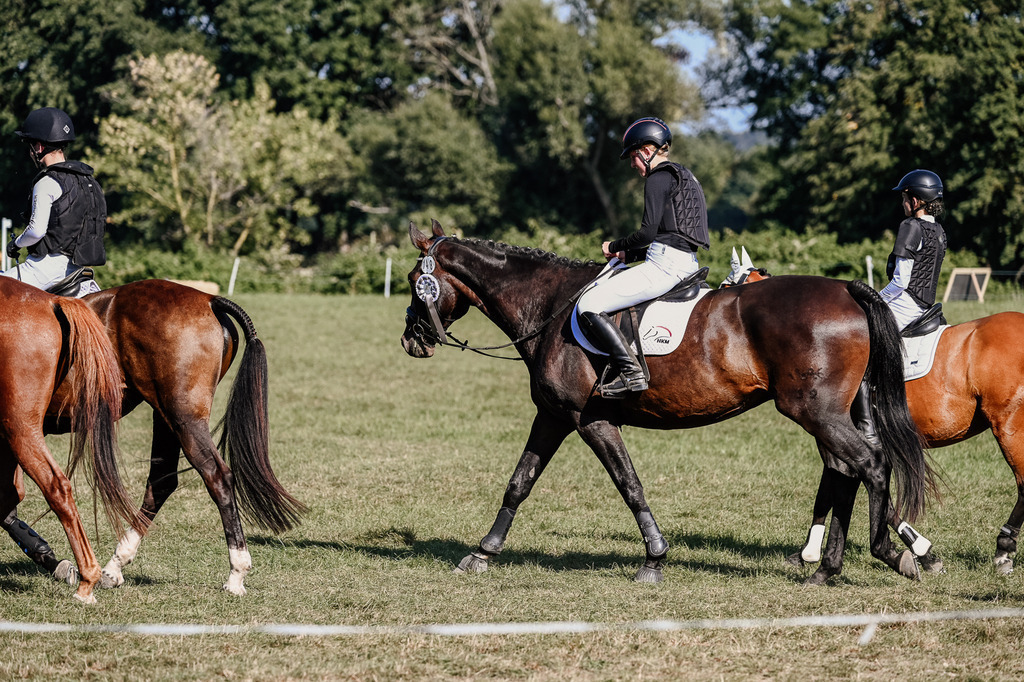 DSC_3705 | Pferde- und Turnierfotografie in Westsachsen. Pferdeportraits, Auftragszeichnungen und intuitive Kunst.