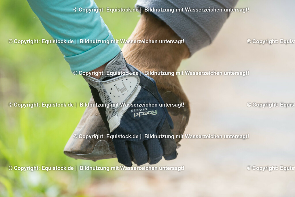 TS_20170715_Roeckl_Handschuhe_0002 | Foto: Thomas Hartig