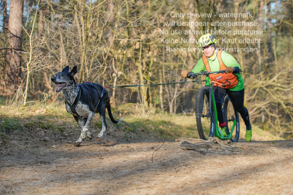 Sa_Scooter-156 | stephaniefillaphotographie - Realisiert mit Pictrs.com