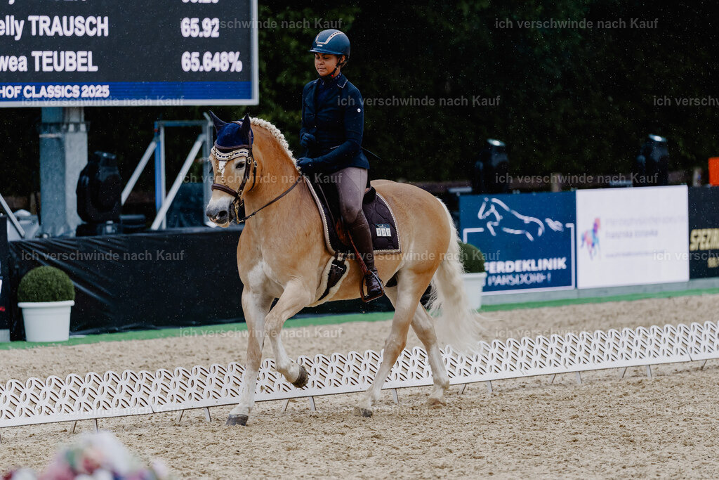 Tanesha5FHC2025-8626 | working equitationturnier fotograf videograf stoibphotography marixx film working equitation deutschland reitsport turnierfotografie eventfotografie equestrian events