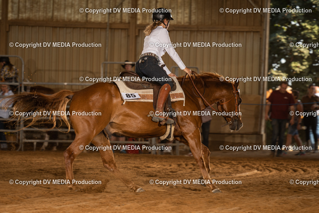 NID03889 | dv-media-shop - Realisiert mit Pictrs.com