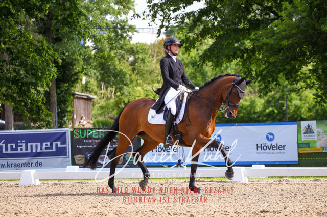 DKP41388 | Deine Turnierfotos vom Reitturnier online kaufen: Dressur, Springen & Siegerehrung. Professionelle Pferdefotografie aus dem Rheinland – als Download & Print.Alternative: Turnierfotograf für den Pferdesport: Finde deine Fotos von Dressur- und Springturnier