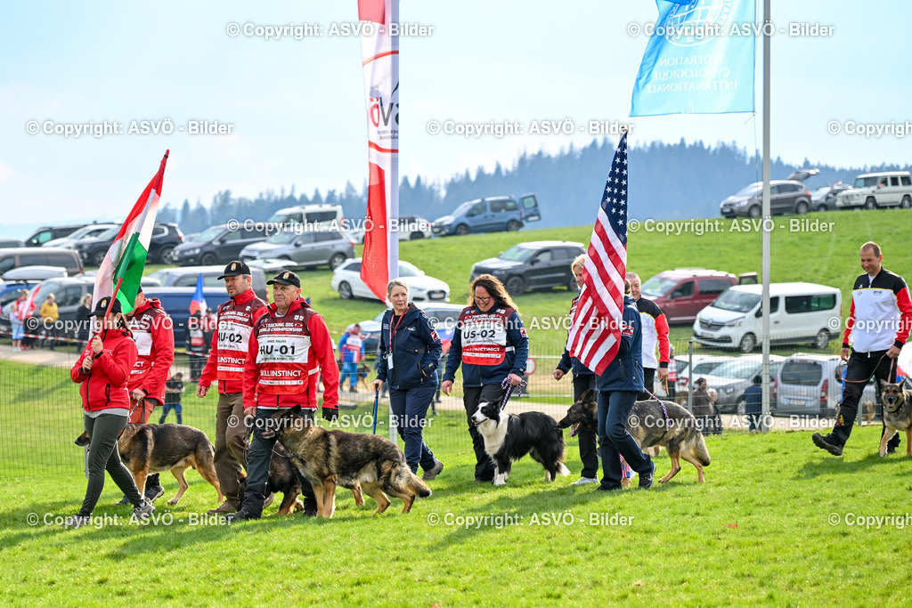 ASVÖ_ Tracking Dog World Championship 2025_ 05.04.2025-123 | bilder.asvo-sport - Realisiert mit Pictrs.com
