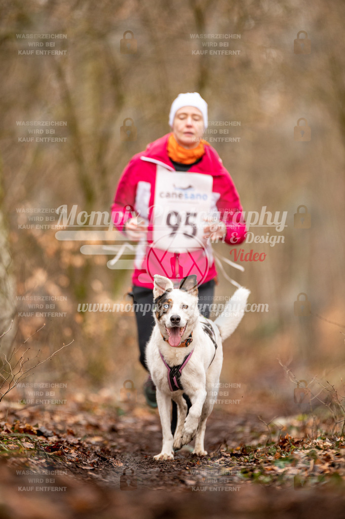 Reiat2023_SON_CaniXRun_8km_W-17 | PayLife