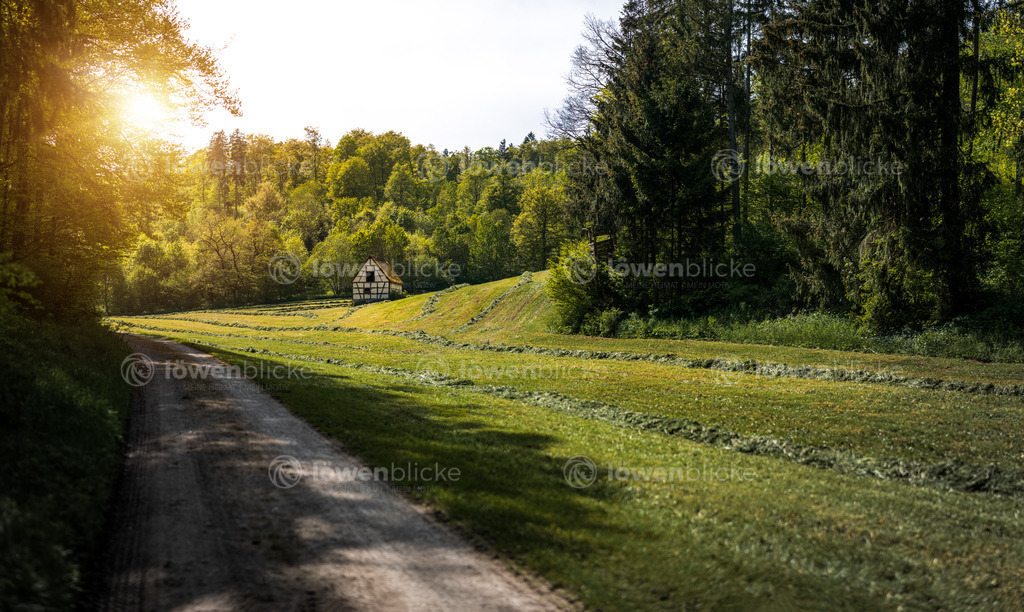 Vögelestal bei Geislingen-Türkheim | löwenblicke | shop