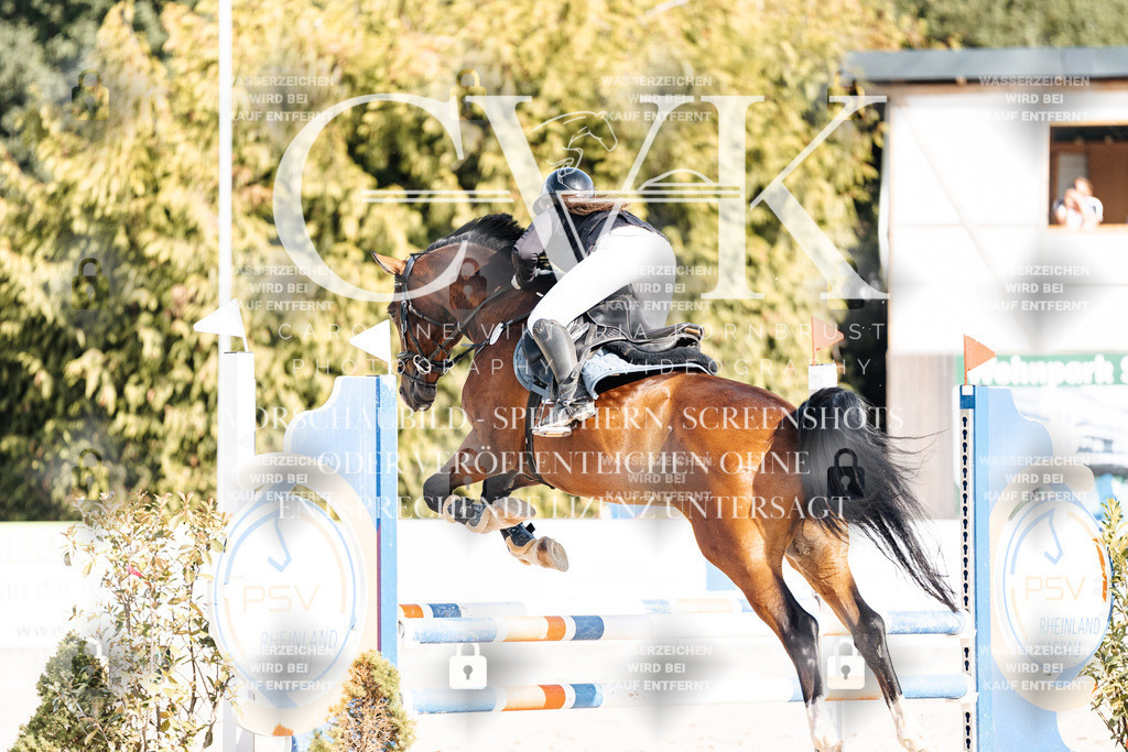 CK909233 | Turnierfotografie Pferdefotografie Trier Rheinland-Pfalz Pferdesport Reitsport Tierfotografie Sportfotografie Pferdevideo Pferdevideografie Equestrianvideography equestrianphotography  - Realisiert mit Pictrs.com