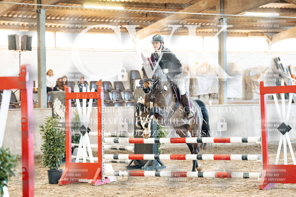 CK904217 | Turnierfotografie Pferdefotografie Trier Rheinland-Pfalz Pferdesport Reitsport Tierfotografie Sportfotografie Pferdevideo Pferdevideografie Equestrianvideography equestrianphotography  - Realized with Pictrs.com