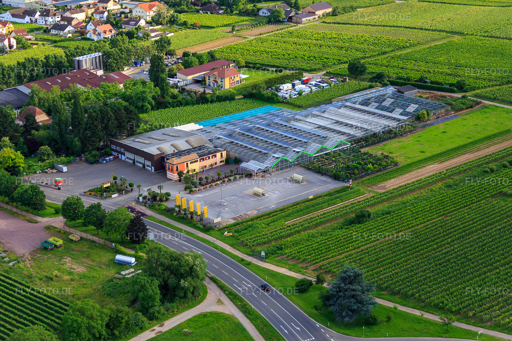 Luftbild: Gartencenter Edesheim GmbH in Edesheim im Bundesland Rheinland-Pfalz in Deutschland. Foto: IMG_090134.jpg vom 26.06.2016 durch Werner Riehm/FLY-FOTO.deFrühling gibt es bei uns! Bei Ihrem GCE !