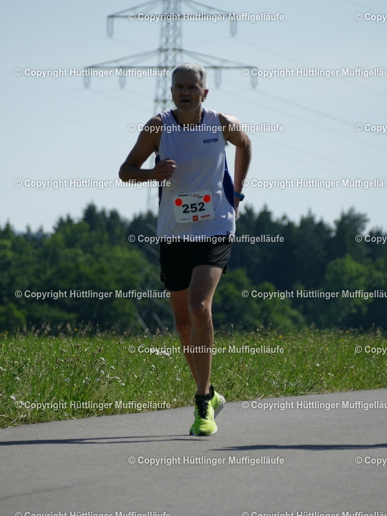 P1110651 | Hüttlinger Muffigelläufe - Realisiert mit Pictrs.com