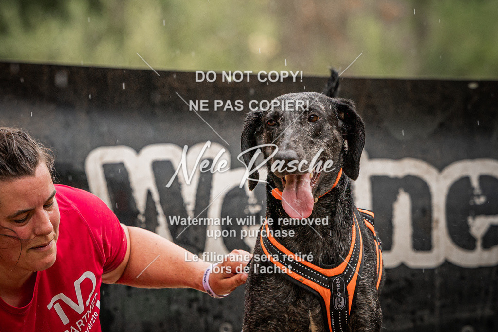 nelerasche_Hoope2026_Sa0900-0930_82 | nelerasche