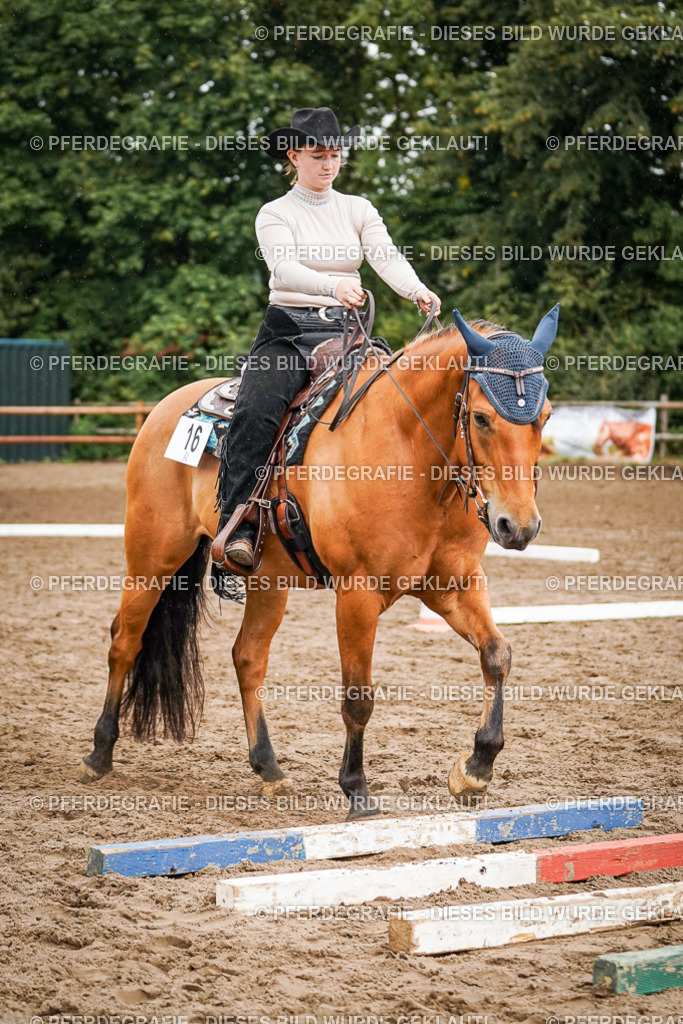 DSC04494 | Pferdegrafie