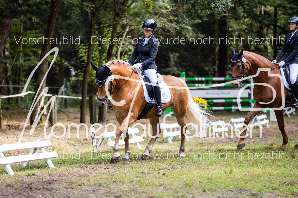 HB-Dressur-WB-054 | MomenTaufnahmen Pferdesportfotos