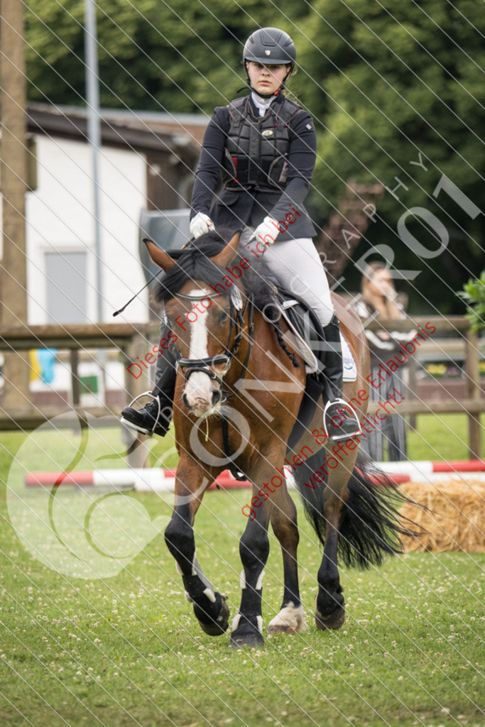 IMG_2319 | Sport-, Event- und Tierfotos in Profiqualität. Einfach auswählen, bestellen und herunterladen. Dein Moment – perfekt festgehalten.