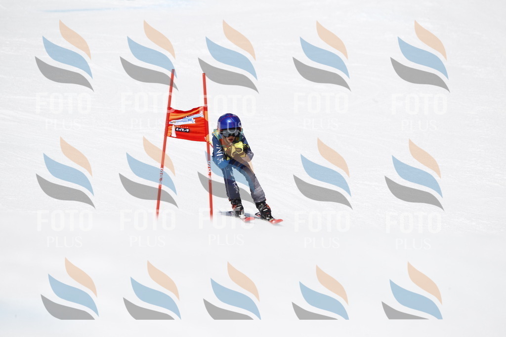 _U3G7826 | holidayphoto