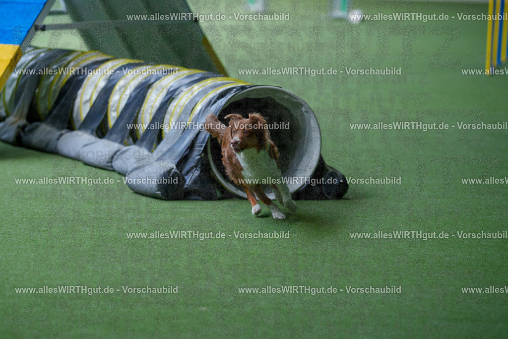 @allesWIRTHgut_Tierfotografie - www.allesWIRTHgut.de - 2604251226-7R501761 | Professionelle Tierfotografie in Mönchengladbach von Daniel Wirth (allesWIRTHgut). Liebevolle & natürliche Bilder von Hunden & Katzen für unvergessliche Erinnerungen.