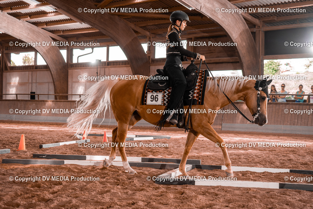 NE200244 | dv-media-shop - Realisiert mit Pictrs.com