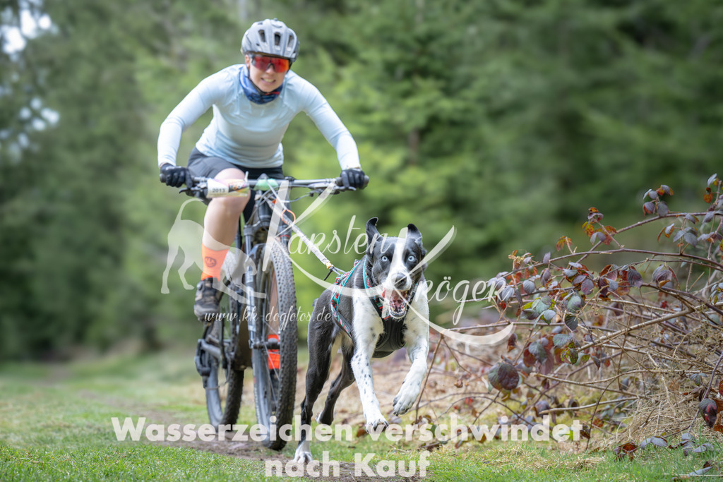 1309_ZZ93697 | kk-dogfotos