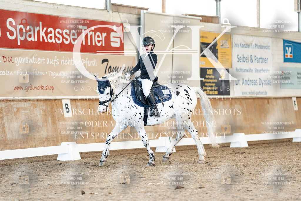 CK908979 | Turnierfotografie Pferdefotografie Trier Rheinland-Pfalz Pferdesport Reitsport Tierfotografie Sportfotografie Pferdevideo Pferdevideografie Equestrianvideography equestrianphotography  - Realisiert mit Pictrs.com