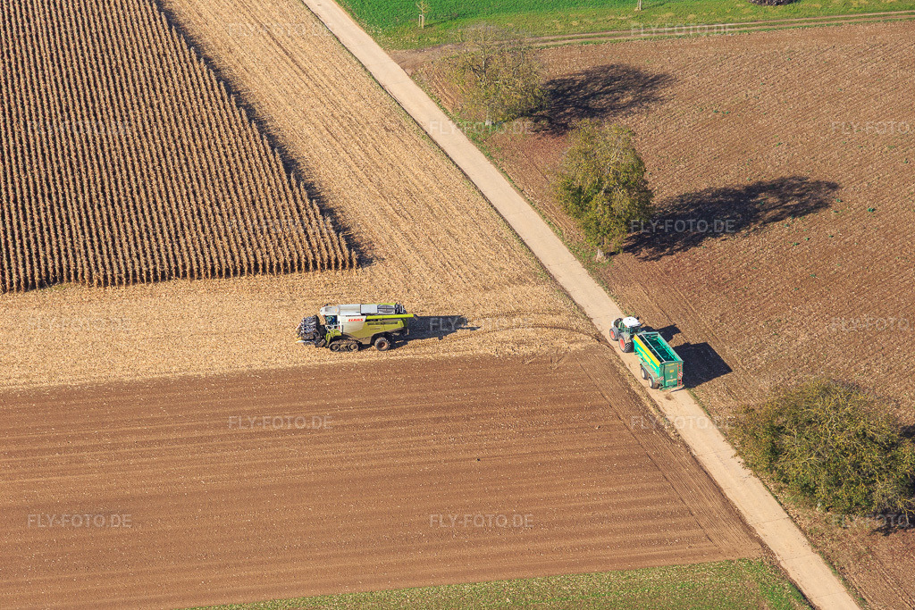 Luftbild: Maisernte auf Acker in Freckenfeld im Bundesland Rheinland-Pfalz in Deutschland. Foto: IMG_104364.jpg vom 31.10.2017 durch Werner Riehm/FLY-FOTO.de